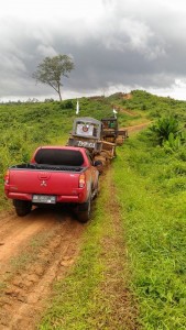2 unit Buldoser PT Runggu digiring untuk diamankan Masyarakat Adat