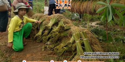 Kerentanan Masyarakat Adat di Tengah Wabah Kerentanan Masyarakat Adat di Tengah Wabah
