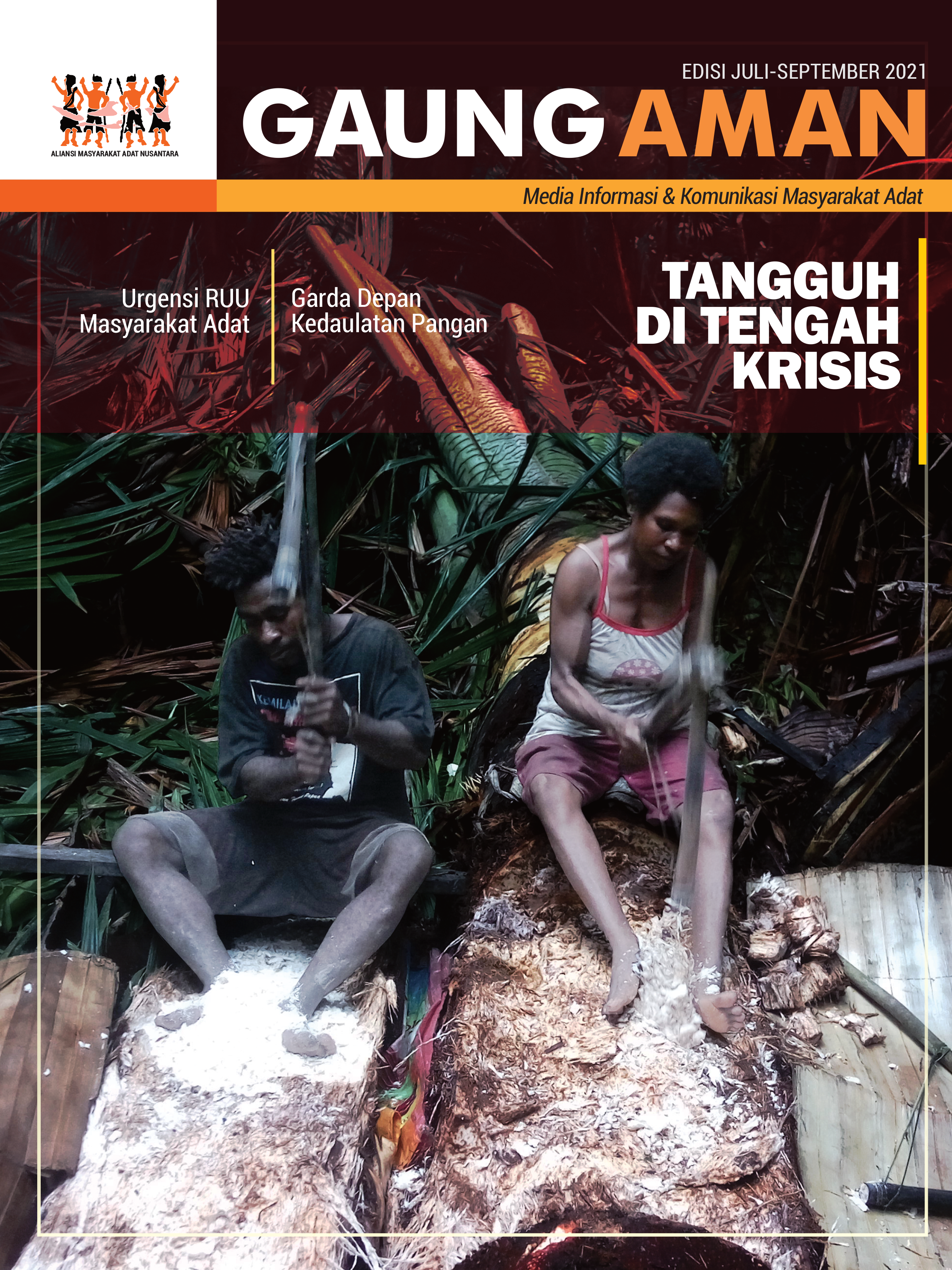 Publication image